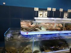 -盒马X会员店(上海森兰商都店)