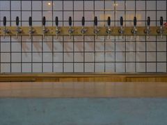 -ZING鲸鱼啤酒(葡萄院店)