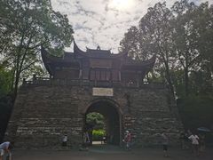 -桂湖森林公园