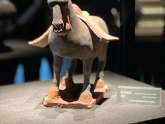 -大同市博物馆