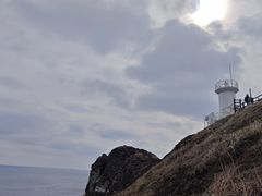 -涉地可支
