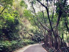 -云溪植物园