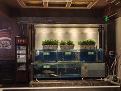 -惠丰堂饭庄·烤鸭·京味菜(西北旺唐家岭店)