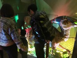 -恐龙探索乐园(磁器口店)