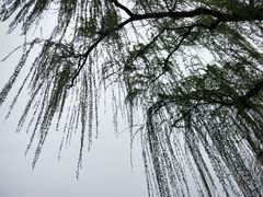 -西湖外事游船(花港观鱼码头)