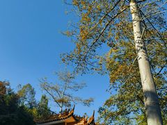 -广州市流溪河国家森林公园