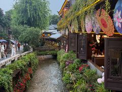-菌自由丨野生菌火锅特色庭院餐厅(丽江古城店)
