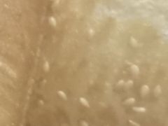 -阊门姚记豆浆(旧学前直营店)