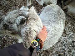 -海拉尔蒙古包(房山长阳店)