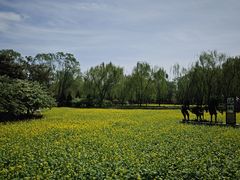 -北坞公园