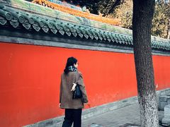 -北京国子监胡同