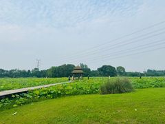 -梁鸿国家湿地公园
