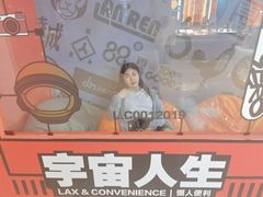 -金茂览秀城
