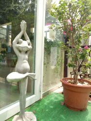 -一花一叶瑜伽生活馆