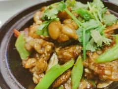 生喱牛蛙煲-粤秀小厨·广式早茶(辽宁路店)