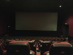 -AMG海上明珠影城(上海环球港RealDCinema店)