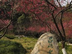 -超山青莲寺