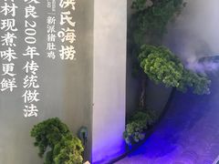 -洪氏嗨捞·猪肚鸡火锅(阳光天地店)
