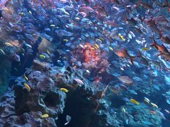 -成都浩海立方海洋公园