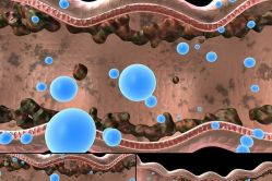 点击看大图 -薇薇安花系SPA