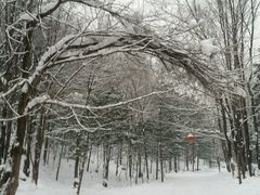 -雪谷