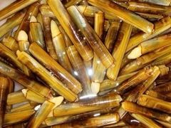 -辰鼎水汇串吧·胶东小船海鲜(平乐园店)