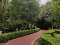 -西安汉城湖景区