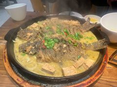 -老板恋上鱼(印象城店)