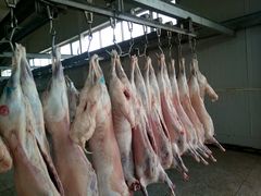 -Amanda餐厅(长乐路店)