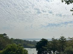 -广州莲花山旅游区