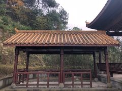 -铁山坪森林公园