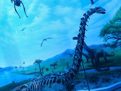 -辽宁古生物博物馆