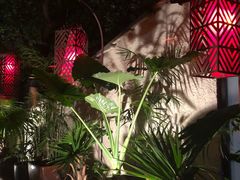 三楼-花马天堂云南餐厅 Lost Heaven(高邮路店)