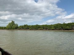 -东寨港红树林旅游区