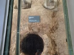 -南越王博物院(王宫展区)