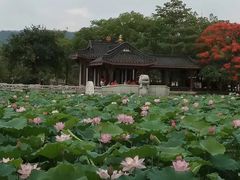 -惠州西湖丰渚园
