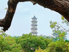 -江心屿景区