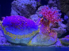 -太平洋海底世界