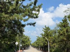 -养马岛旅游度假区