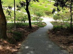 -中山市树木园