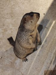 -酷嗒动物文化乐园(cutezoo西溪乐天城店)