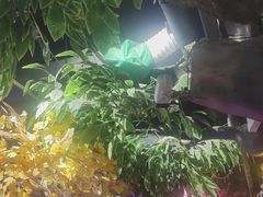 -城墙拐拐火锅(三峡广场黑金冠店)