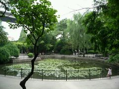 -百里山水画廊-恐龙游乐园