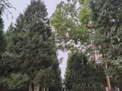 -赵州桥景区
