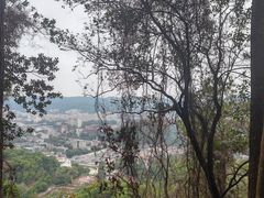 -火炉山森林公园