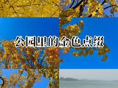 -长白岛森林公园