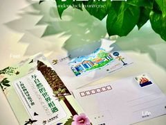 -上海植物园-4号门售票处