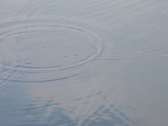 -青枫公园
