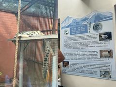 -青藏高原野生动物园