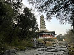 -香山公园